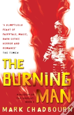 Capa do artigo Burning Man