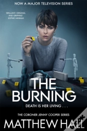Capa do artigo Burning