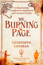 Burning Page - Preview