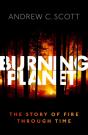 Burning Planet - Preview