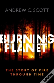 Capa do artigo Burning Planet