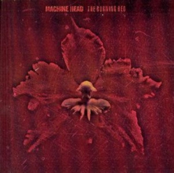 Capa do artigo Burning Red - CD