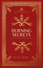 Burning Secrets - Preview