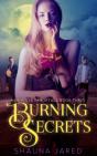 Burning Secrets - Preview