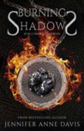 Burning Shadows