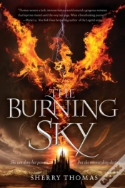 Capa do artigo Burning Sky