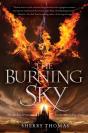 Burning Sky - Preview