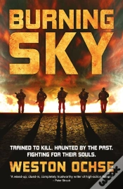Capa do artigo Burning Sky