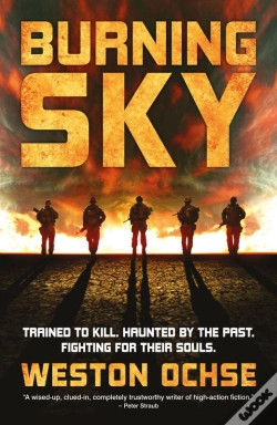 Capa do artigo Burning Sky