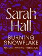 Burning Snowflake - Preview