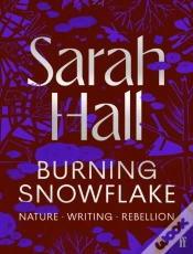Capa do artigo Burning Snowflake