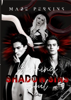 Capa do artigo Burning Soul - 3
