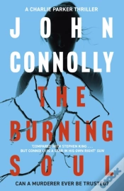 Capa do artigo Burning Soul
