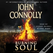 Capa do artigo Burning Soul
