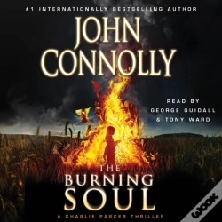 Capa do artigo Burning Soul