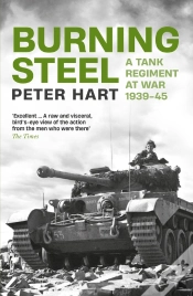 Capa do artigo Burning Steel