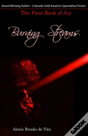 Capa do artigo Burning Streams