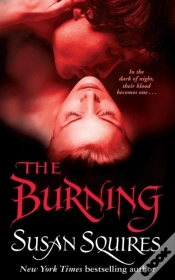 Capa do artigo Burning