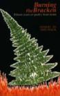 Burning The Bracken - Preview