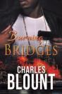 Burning The Bridges - Preview