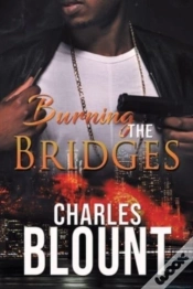 Capa do artigo Burning The Bridges