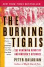 Burning Tigris - Preview