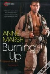 Capa do artigo Burning Up