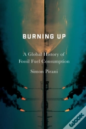 Capa do artigo Burning Up