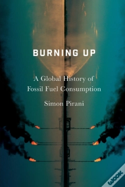 Capa do artigo Burning Up