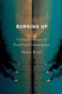 Burning Up - Preview