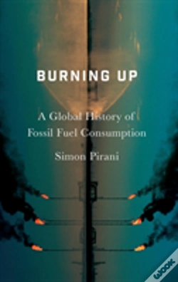 Capa do artigo Burning Up