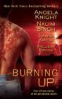 Burning Up - Preview