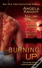 Capa do artigo Burning Up