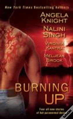 Capa do artigo Burning Up