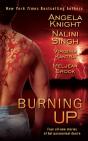 Burning Up - Preview