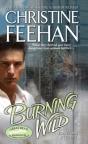 Burning Wild - Preview