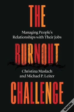Capa do artigo Burnout Challenge