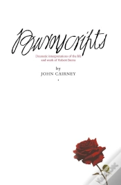 Capa do artigo Burnscripts