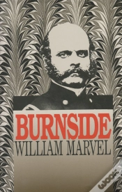 Capa do artigo Burnside