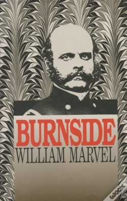 Capa do artigo Burnside