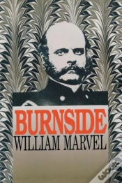 Capa do artigo Burnside