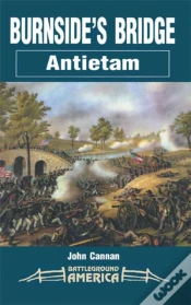 Capa do artigo Burnside