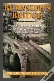 Capa do artigo Burnside