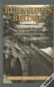 Capa do artigo Burnside