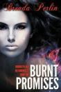Burnt Promises  Brooklyn And Bo Chronicl - Preview