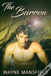 Capa do artigo Burrow