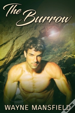 Capa do artigo Burrow