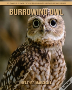 Capa do artigo Burrowing Owl