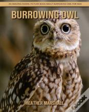 Burrowing Owl