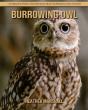 Burrowing Owl - Preview